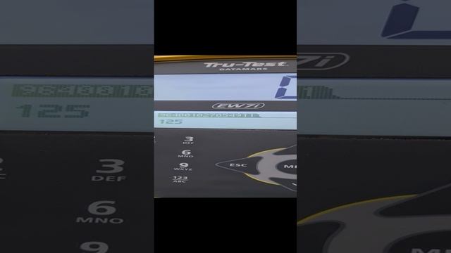Весовой индикатор Tru-Test EziWeigh7i