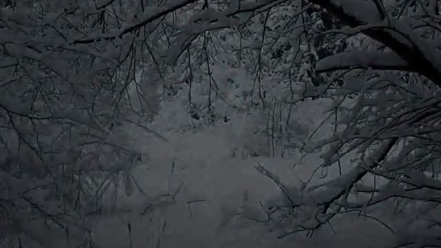 Снежная графика Зимы... Die Schneegrafik des Winters... смотреть онлайн