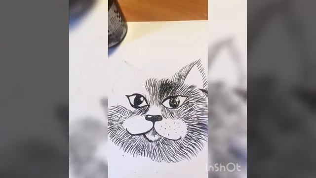КАК НАРИСОВАТЬ КОТА?