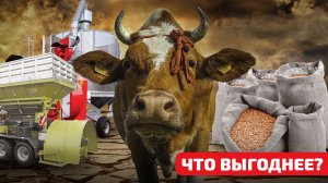 Что выгодней - плющилка, зерносушилка или комбикорм. Экономика окупаемости.