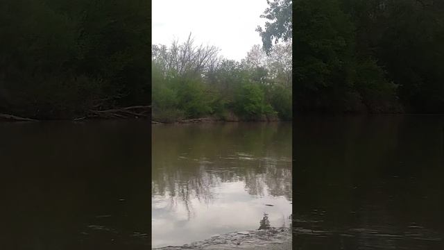 на рыбалке река Сунжа смотреть онлайн