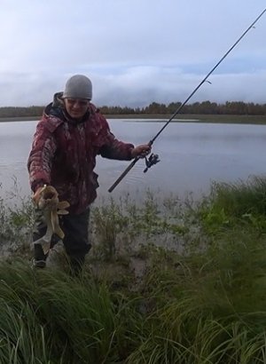 Белоярка. Сутки на льду. Отличный клёв!!!