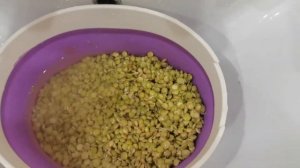Салат с пророщенной чечевицей