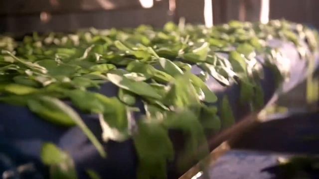 Работа в компании Белая Дача смотреть онлайн