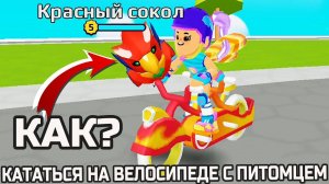 PK XD ЛАЙФХАК - КАК КАТАТЬ ПИТОМЦА НА ВЕЛОСИПЕДЕ И ДОСКЕ ?!