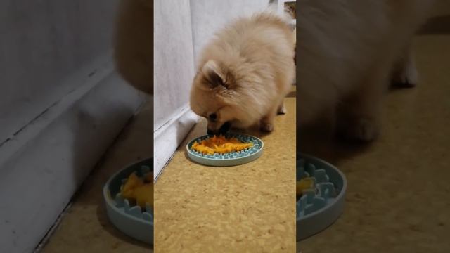 Безумно любим тыкву! 