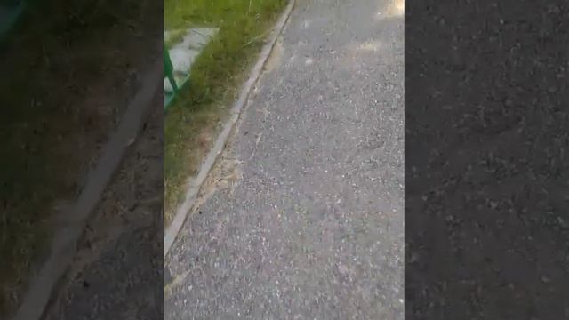 Всем привет !хорошего настроения смотреть онлайн