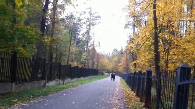 Усадьба Узкое в Москве/Наталия - день,за днем смотреть онлайн