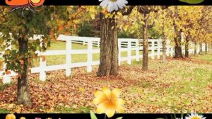 ВИА_Лейся песня - Рыжая метелица