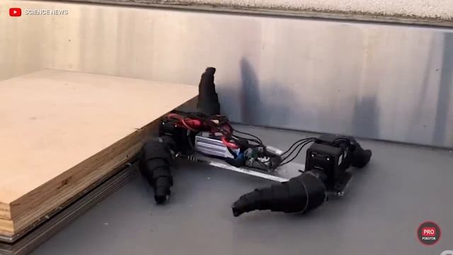 Выставка роботов и искусственного интеллекта TRI Expo // Новые роботы и технологии будущего смотреть онлайн