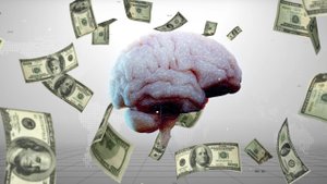 УПРАВЛЯЙ ПРОЦЕССАМИ СВОЕГО МОЗГА, объяснения о работе нашего серого вещества от Никиты метелицы