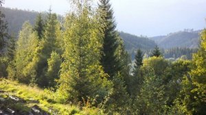 Рыбалка на Мане Красноярский край. Поселки Большой Унгут, Жержул. Август 2006 года.