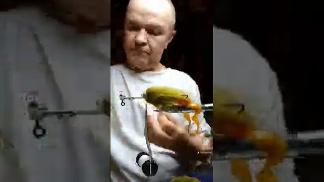 ДжигСтример на ЗМЕЕГОЛОВА ? #джигстример #змееголов #трофейнаярыбалка #балхаш #владивосток #приморь смотреть онлайн