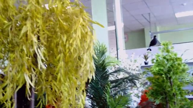 Искусственные деревья Украина Декоративные купить для интерьера квартиры ландшафта сада дачи дома смотреть онлайн