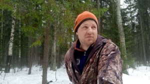 Солонец круглый год.Как и где сделать хороший солонец на лося.