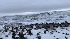 СК - «Дождёмся весну»