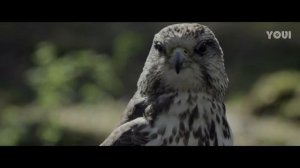 Анастасия Приходько - Зацелована