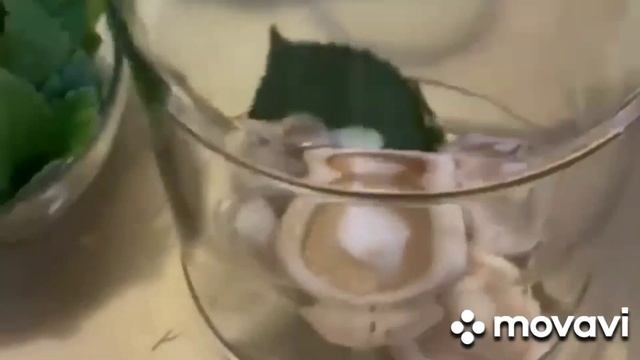 ‼️СОЛЕНИЕ ГРУЗДЕЙ ХОЛОДНЫМ СПОСОБОМ НА ЗИМУ?❗РЕЦЕПТ ОТ ОЛЬГИ?‼️ смотреть онлайн