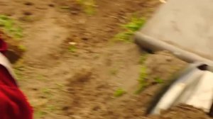 Power Rangers Dino Charge | Inicio: El guardian vs Sledge