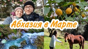 Абхазия. Потрясающая природа | НеВЛОГ #1