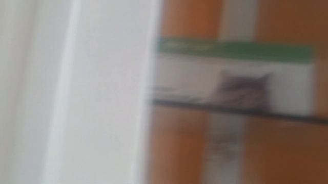 Как мы лечили собаку. Слабонервным не смотреть! смотреть онлайн