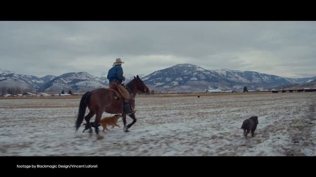 News in 90 EP 168:Panasonic AV-UHS500 4K, Blackmagic Camera Update 6.8, HawkWoods FX9 V-Lock adapte смотреть онлайн