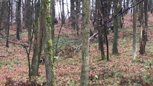 Jazda z ekipą 2x MRF 140, SXF 250, CR 125, SUZUKI ts200r loncin, RFZ 125, Diaboloni 250/WiPek Moto смотреть онлайн