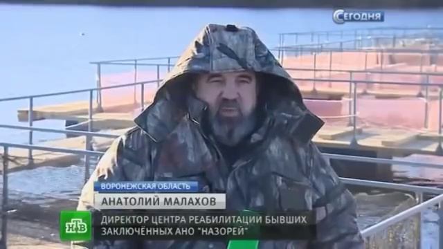 Осетровая и форелевая ферма В Воронежской области.