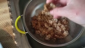 Грибные кальмары. Готовим строчки.