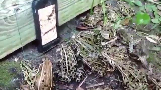 Demon* смотреть онлайн