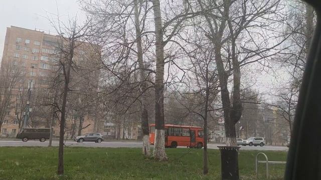 ВЫСАЖИВАЮ ПЕТУНИЮ. Сезон 2022.