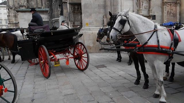 Panasonic Lumix GF6 -- пример видеозаписи