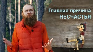 Главная причина несчастья