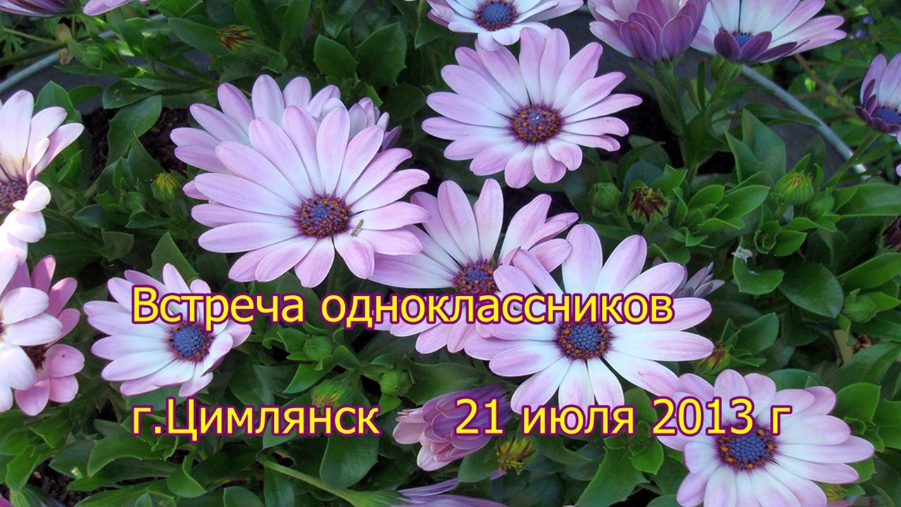 Встреча одноклассников.21 июля 2013 г.mp4