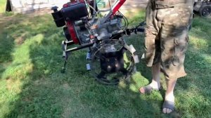 Первая в августе 2019 г. копка картофеля дизельным мотоблоком Weima.  4К.