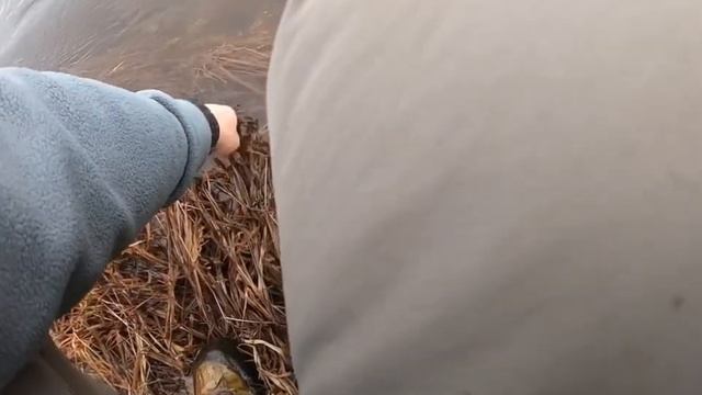 Рыбалка на р. Ланковая Ольский район Магаданская область 08.06.2019 смотреть онлайн