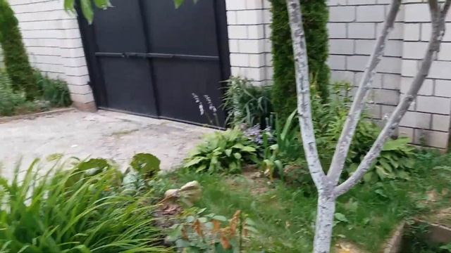 Все будет так, как Бог даст/Персиковая аллея/Видео № 143 смотреть онлайн