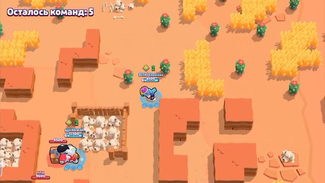 Новый Эдгар 2.0? 5 годовщина бс смотреть онлайн