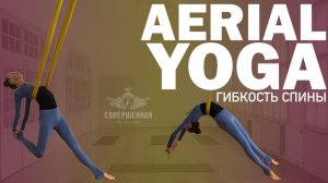 AERIAL YOGA: ГИБКОСТЬ СПИНЫ