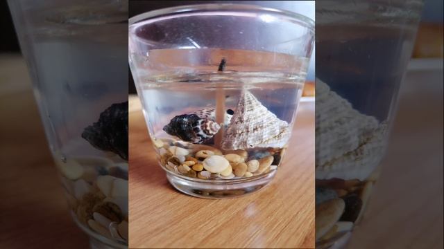 Карточка видео