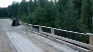 Поселок Водла, мост
