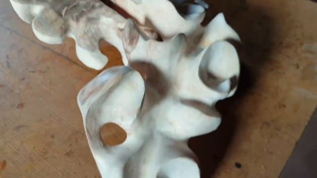 Итог метаморфоз берёзового нароста. смотреть онлайн