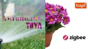 Полив комнатных растений своими руками.