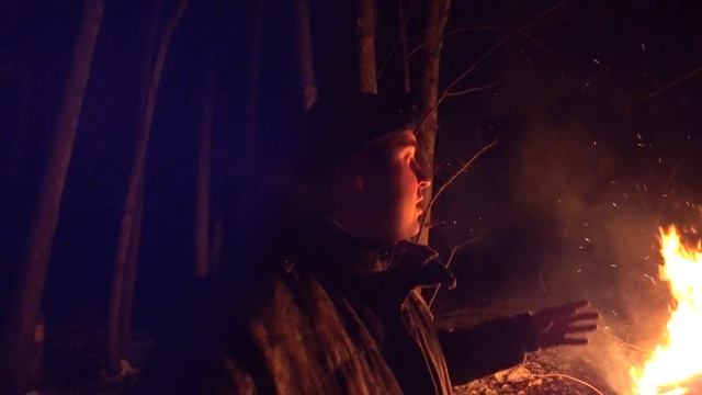 День и ночь в лесной избе | Убираем пчел от медведя шатуна смотреть онлайн