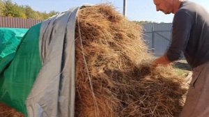 Наши первые дни с лошадью в домашней конюшне