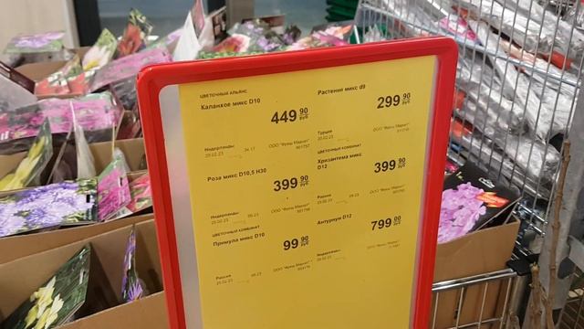 Подарки и живые цветы к 8 марта в ДА Жуковский смотреть онлайн