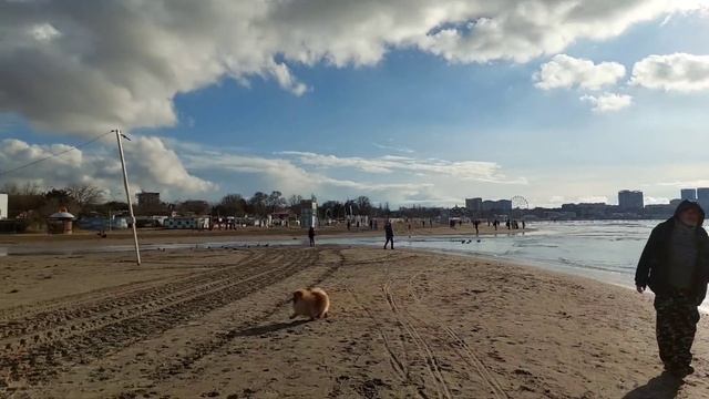 Дети, спорт и родительские помечтайки. Что полезно,а что - только развод на деньги. Анапа. смотреть онлайн