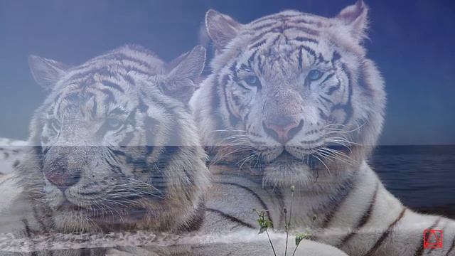 Власть человека над животными смотреть онлайн