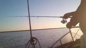 Рыбалка Краснодарского края ТЕМРЮК лиман ГОРЬКИЙ Очень крупный окунь