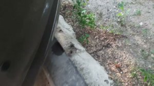 LADA GRANTA FL Не работает задний омыватель стекла.